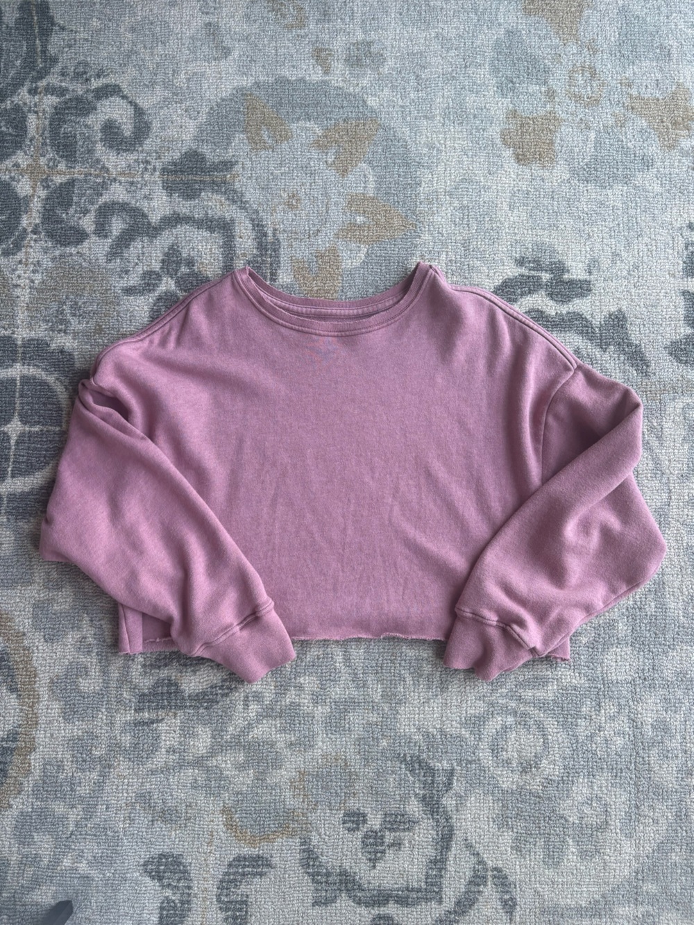 Urban Outfitters BDG Cropped Slouchy Sweatshirt